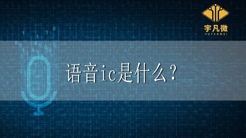 語音ic是什么？
